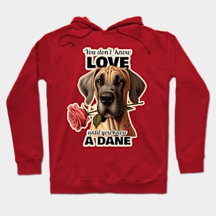 Great Dane Valentine's day Hoodie